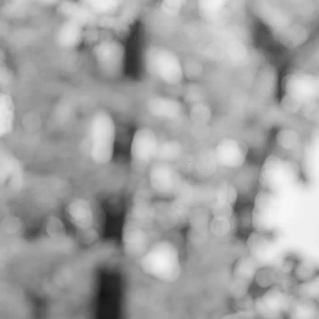 Alexander Ahlén background