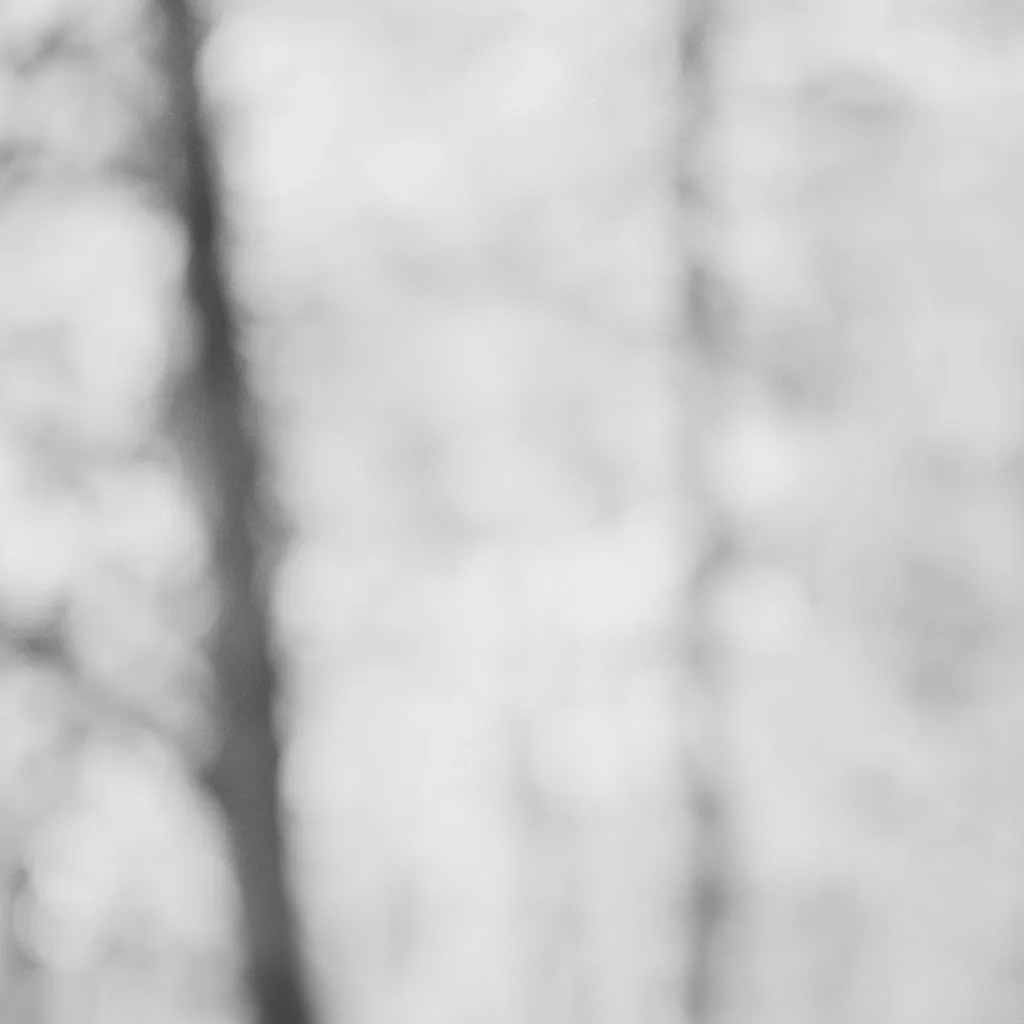 Philemon Wehinger background